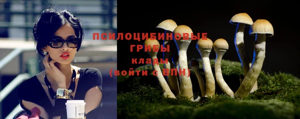 бошки Баксан