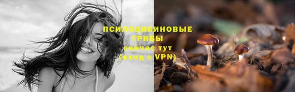прущая мука Мегион