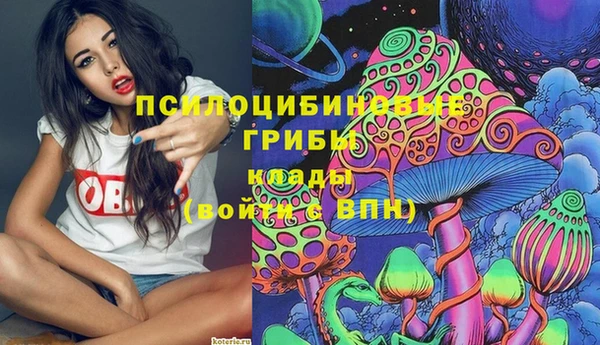 бошки Баксан
