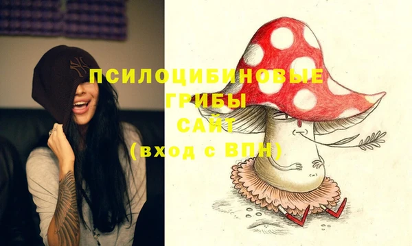 стафф Аркадак